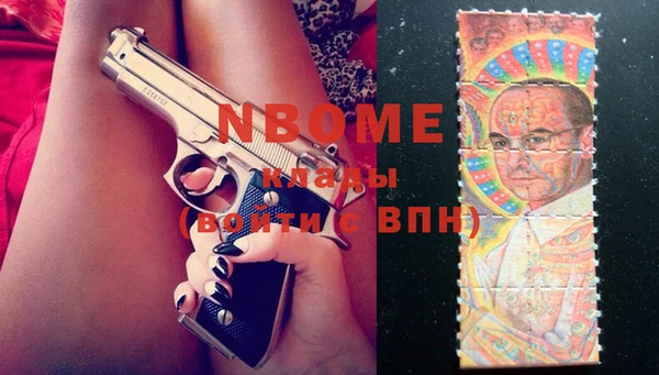 мдпв Алексин