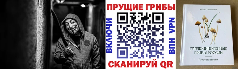 Галлюциногенные грибы GOLDEN TEACHER  Дмитров 