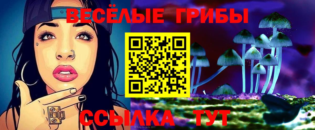 Галлюциногенные грибы прущие грибы Дмитров