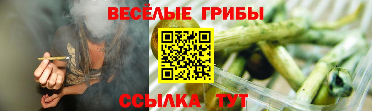 Псилоцибиновые грибы Psilocybine cubensis  Вход с VPN  Дмитров 